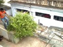 MY STUNTS-2