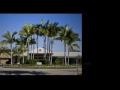 Ivory Palms