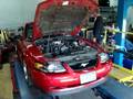 my-Stang-on-the-dyno