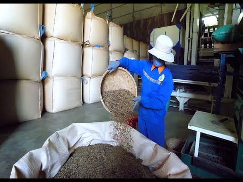 Đẩy mạnh Xúc tiến thương mại cho mặt hàng cà phê sạch ở thị trường trong nước