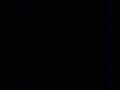 videos de temporale de merda