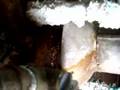 water heater leak 