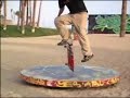 Rodney Mullen I love skatebording edited Rodney Mullen I love skatebording edited