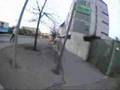 FREESTYLE ROLLERBLADING