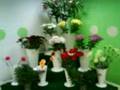 Gareth O'Dell - Monica's Florist Advert!