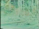 The Patterson-Gimlin Bigfoot film