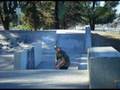 videos de stonegate quicky