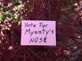 Myzzty Vote 039 Myzzty Vote 039