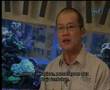 Galeri Aqua - Water Plants (1/2)