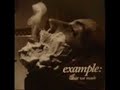 Example-Posh Birds