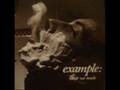 Example-Posh Birds