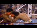 Salvador Sanchez legend