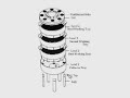 Worm Farm Introduction