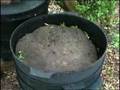 Save the Earth with a Worm Farm default Save the Earth with a Worm Farm