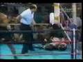 Mike Tyson kills Marvis Frazier