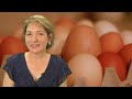 How to Soft-Boil & Hard-Boil Eggs, Healthy Snacks by Treasured Earth Foods, Nutrition & Wellness Eggs make wonderful snacks for breakfast, lunch and even dinner. By soft-boiling or hard-boiling them, they become quick and easy to eat and to carry with you to work, school, the gym, etc. Eggs are not only healthy but they will also help fill you up and keep you feeling satisfied longer. In this video, Ruth explains how to soft boil and hard boil eggs. Eggs can be eating hard-boiled, soft-boiled, scrambled, sunny side up, poached, fried and more. The various cooking methods will let you cook the white and preserve the runny yolk or you can cook the egg thoroughly so the yolk is not runny. The egg white and the yolk both contain important nutrients and it's important to eat the yolk and the white together to get the most nutrition (and best digestion) from the egg. Visit the Treasured Earth Foods Website at; www.treasuredearthfoods.com This video was produced by Psychetruth www.youtube.com © Copyright 2011 Target Public Media LLC. All Rights Reserved. Egg Eggs soft boil softboiled hard boil hardboiled 