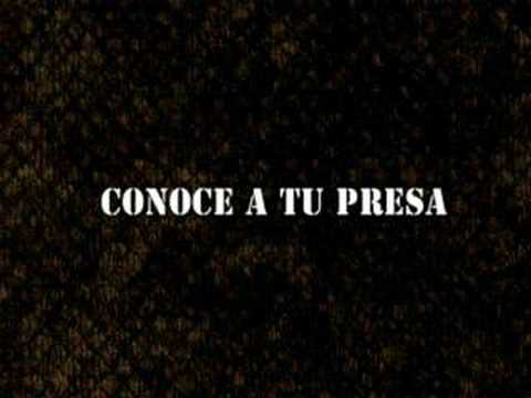 Imagen de previsualización de YouTube