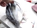 Tuna Filets