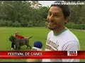 Reportaje 2008 - Los 5 mejores perros del Per�.