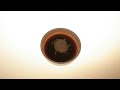 sushi and stop motion