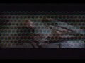 The Gelding - Cut Apart
