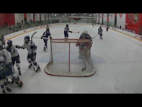 Goal video