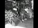 Child Labor kellenberg Project Child Labor kellenberg Project
