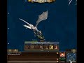 robie3.mp4