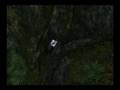 videos de Hidden WildFire Mini-Montage/Hidetage