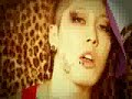 雅 (miyavi) 咲き誇る華の様に (Neo Visualizm)