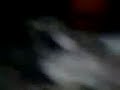 Elle a la trique