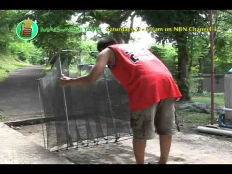 how to grow ulang