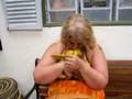 videos de Sweet baby golden conure