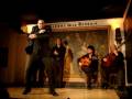 videos de Spanish Flamingo Dance (Male Part)
