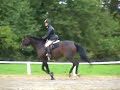 tara reid riding lola at black river horse show 08