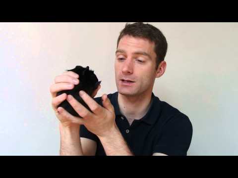 how to say my love in czech