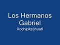 xochipitzahuatl  flor menudita 