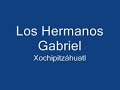 xochipitzahuatl  flor menudita 