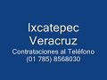 xochipitzahuatl  flor menudita 