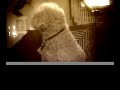 Jory Steinberg - vocal Ruth Ann Galatas album