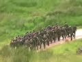 SGS CCF at Warcop Main Camp 07, Part 1