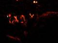 soulfly 003.mov