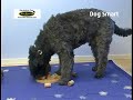 Nina Ottosson Dog Smart