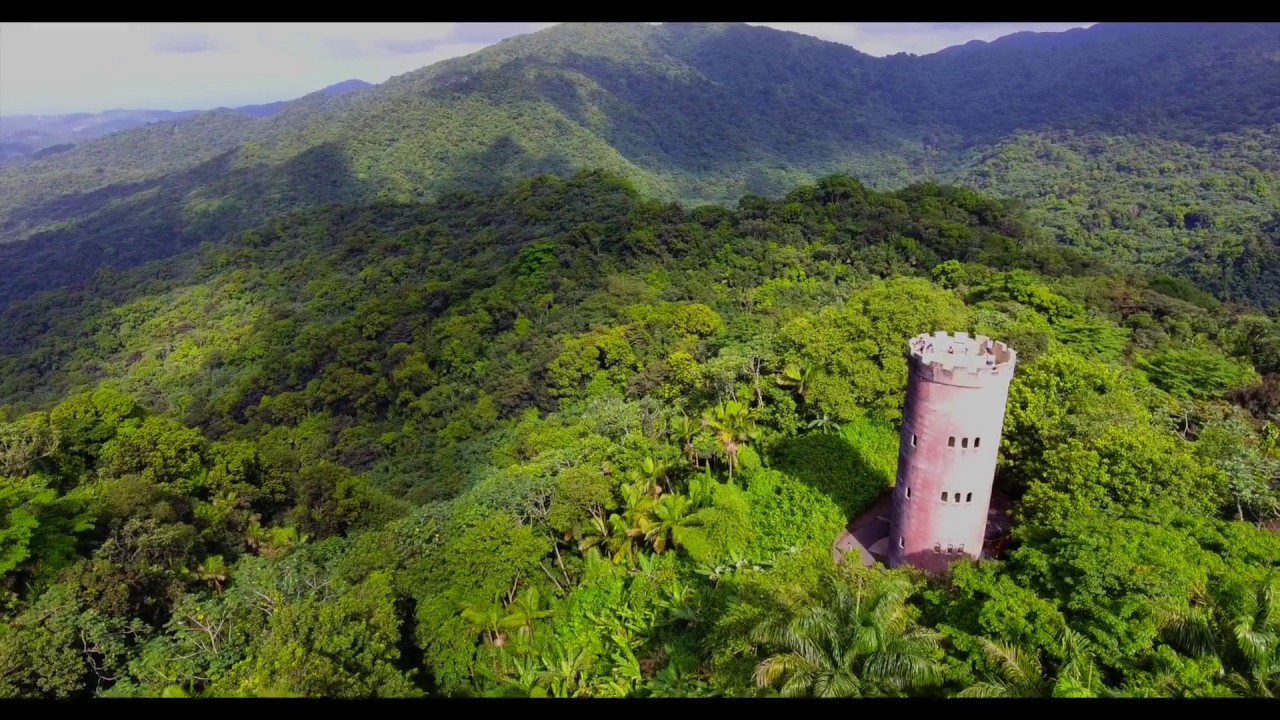El Yunque Rainforest