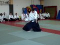 Aikido Alain Tendron