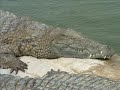 une ptite vidéo de djerba