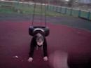 H.C tire swing catastrophe (part 1)