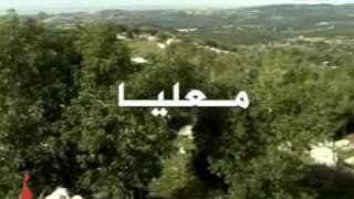 حكاية بلد على تلفزيون فلسطين قرية معليا