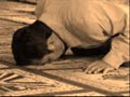 Satu Cinta Nasyid - Hasnul Satu Cinta Nasyid - Hasnul