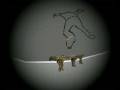 videos de skate rotoscope